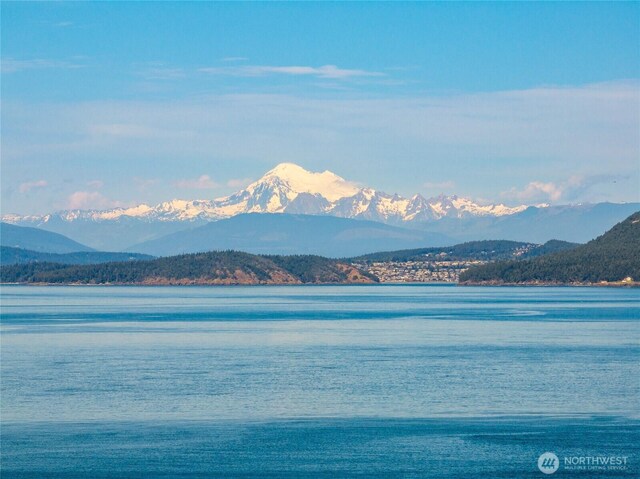 373 Eliza Rd, Lopez Island, WA 98261 - water view with a mountainous background