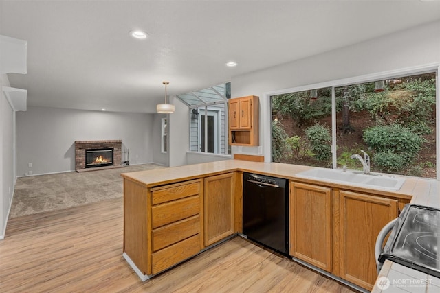 kitchen with a healthy amount of sunlight, electric stove, black dishwasher, and a sink