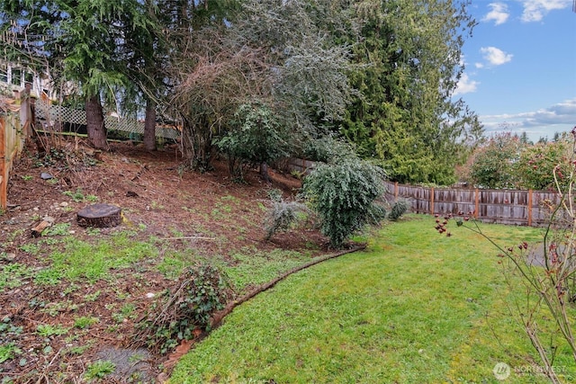 view of yard featuring a fenced backyard