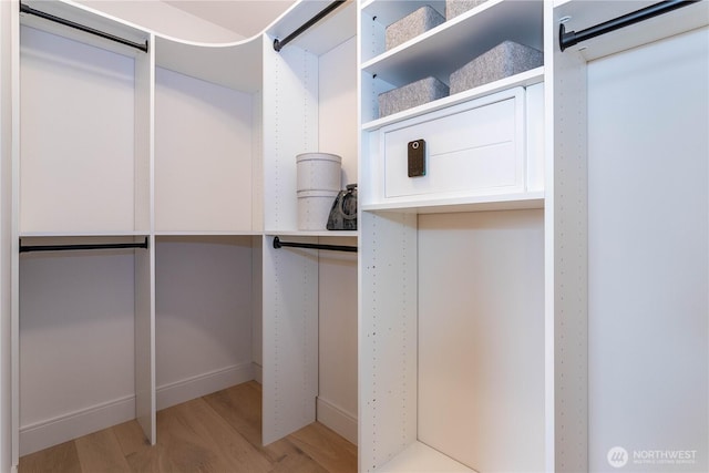 spacious closet featuring light wood finished floors