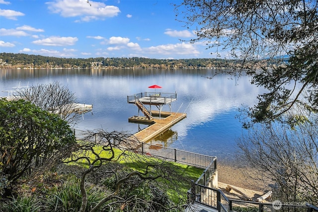 dock area with a water view