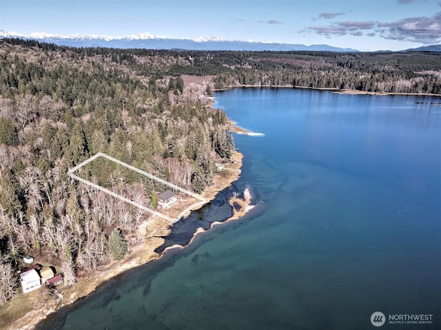 birds eye view of property featuring a water and mountain view and a wooded view