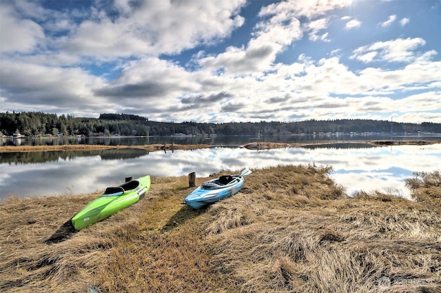 property view of water featuring a wooded view