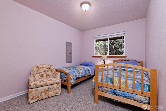 carpeted bedroom featuring electric panel, a textured ceiling, and baseboards