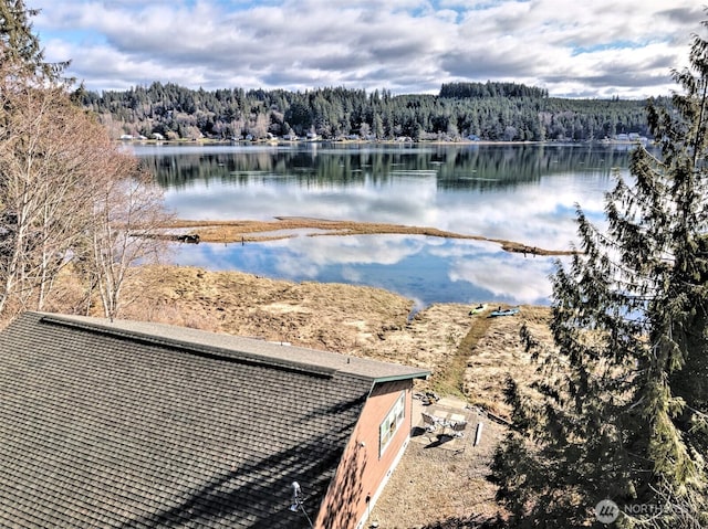 water view featuring a wooded view