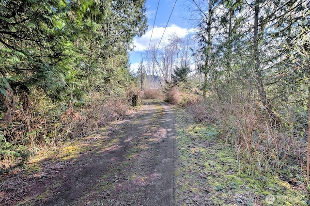 view of road featuring a view of trees