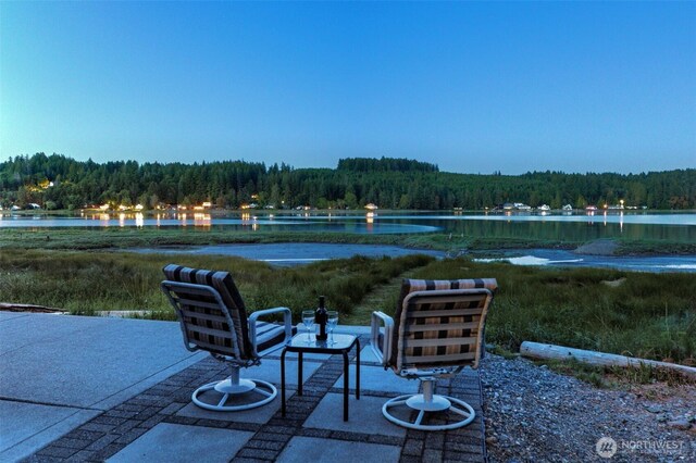 730 E N Bay Rd, Allyn, WA 98524 - photo 1