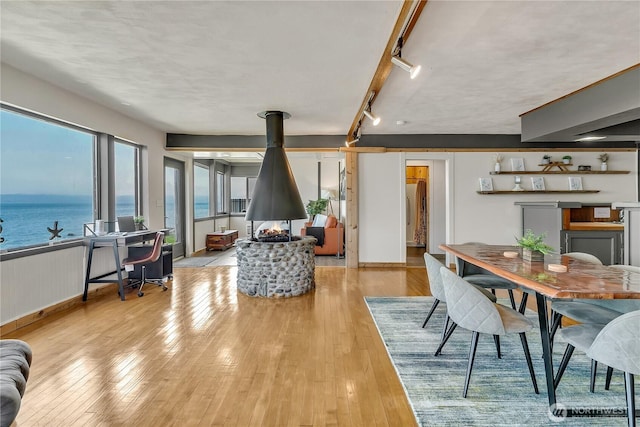 living room featuring light wood-style flooring, radiator heating unit, a wood stove, track lighting, and a water view