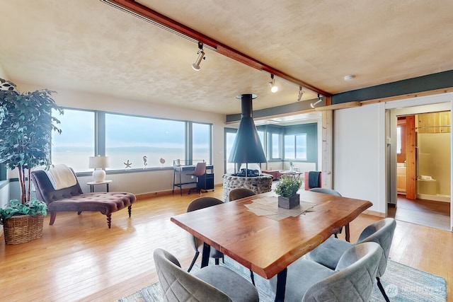 dining space featuring a healthy amount of sunlight, rail lighting, baseboards, and wood-type flooring