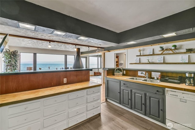 kitchen featuring a sink, wooden counters, dark wood-style floors, and white dishwasher