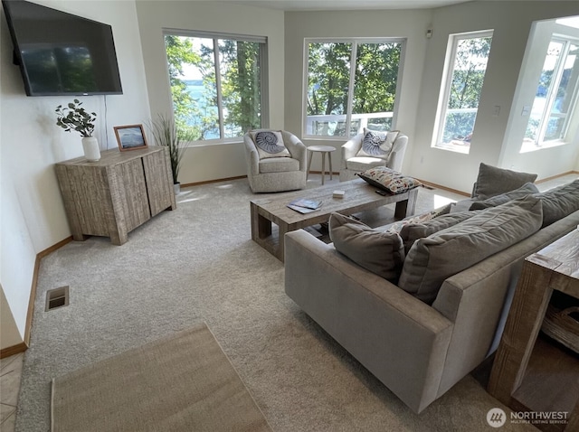 17455 Paige Ln SW, Vashon, WA 98070 - living area featuring visible vents, baseboards, a healthy amount of sunlight, and light carpet