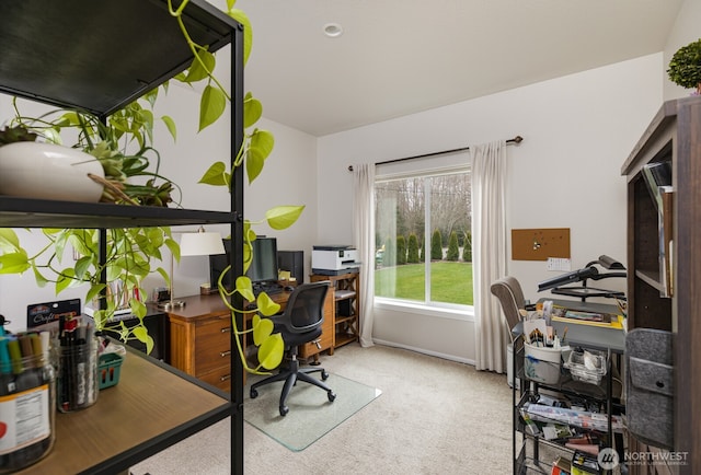 view of carpeted office space