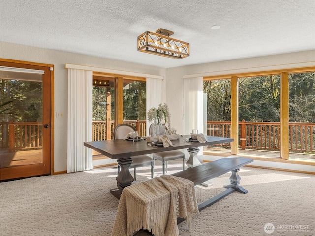 carpeted dining room with a textured ceiling