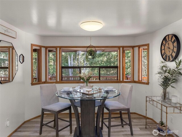 dining space featuring baseboards and wood finished floors