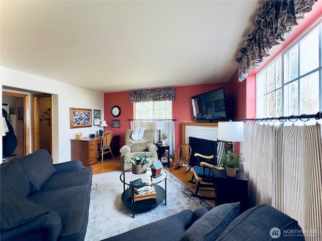 living area featuring wood finished floors and a fireplace