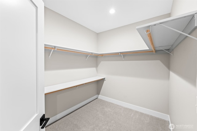 walk in closet featuring carpet floors