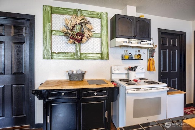 kitchen with white electric range oven, under cabinet range hood, light countertops, and dark cabinetry