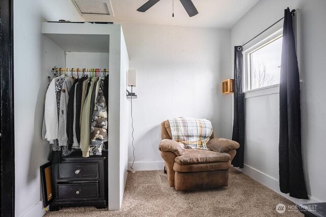 living area with ceiling fan, carpet floors, and baseboards