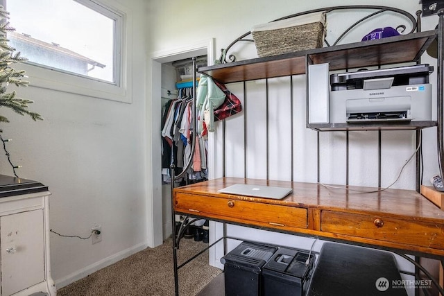 mudroom featuring carpet and baseboards