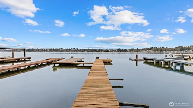 dock area featuring a water view