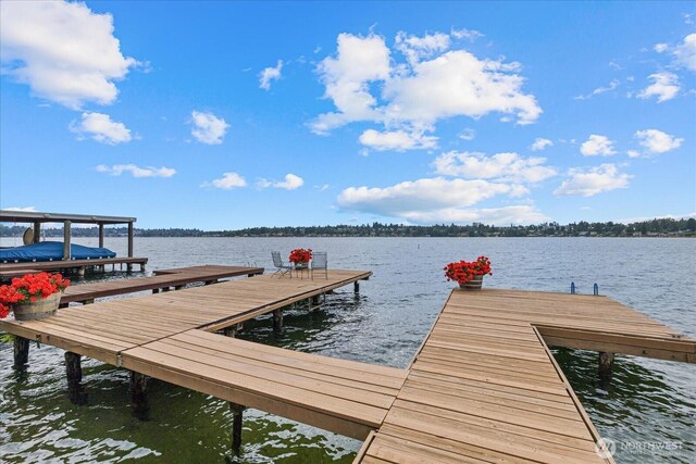 view of dock featuring a water view