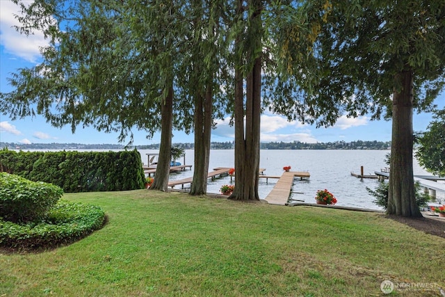 view of yard featuring a water view and a boat dock