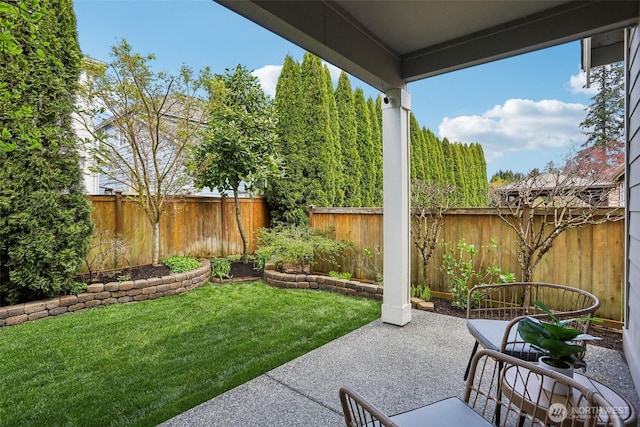 view of yard featuring a patio
