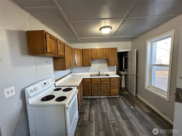 kitchen featuring brown cabinetry, white range with electric stovetop, dark wood-style flooring, and a sink