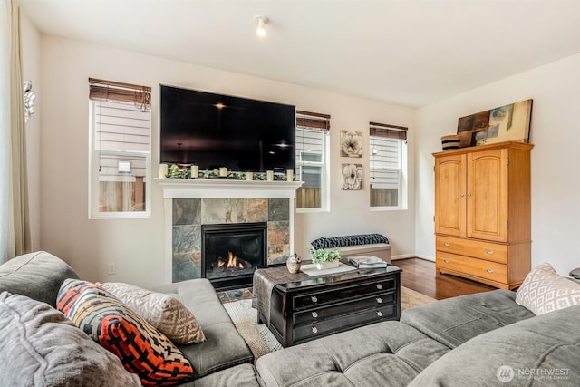 living area featuring wood finished floors and a fireplace