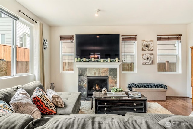 living area featuring wood finished floors, a fireplace, and baseboards