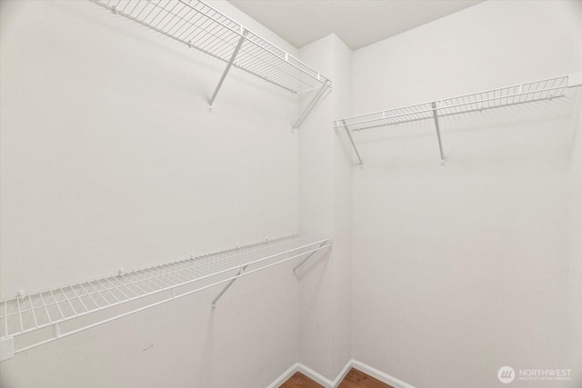 view of walk in closet