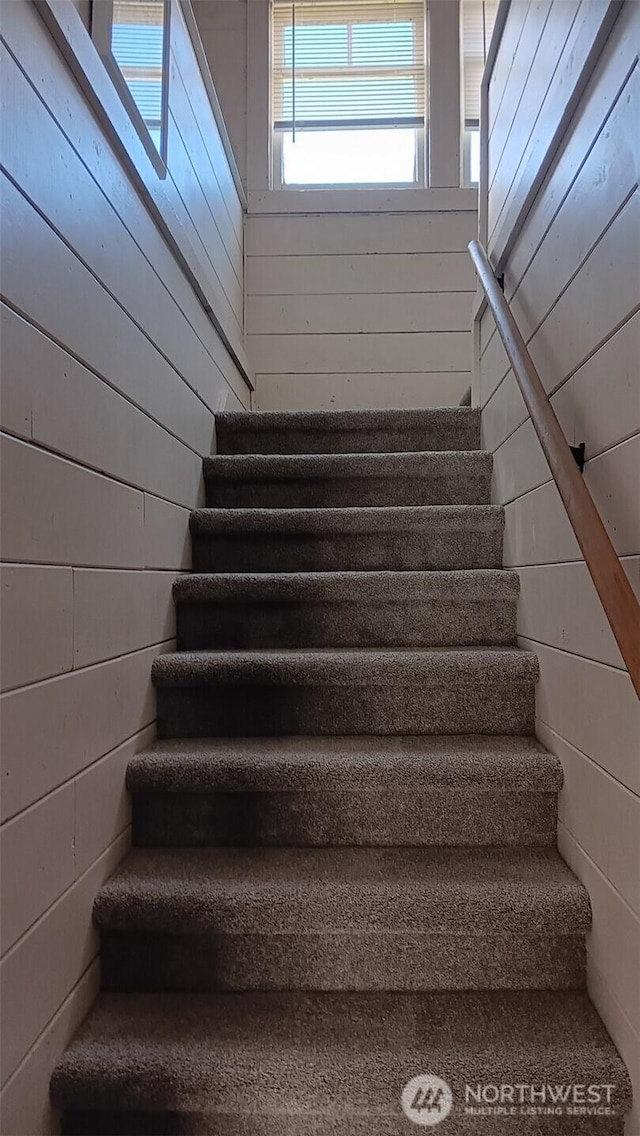 stairway with wood walls