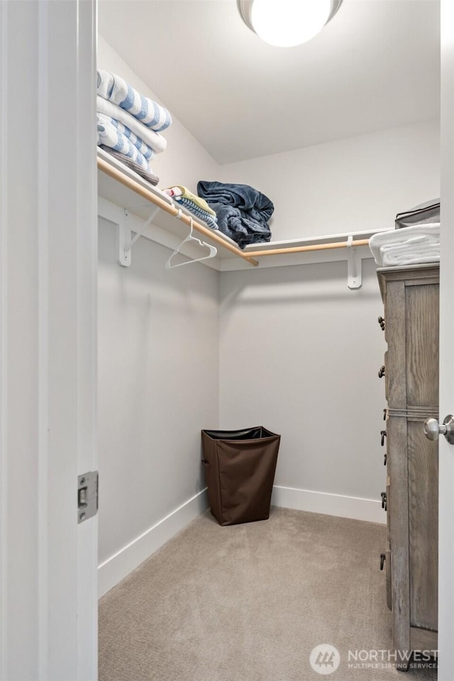 spacious closet featuring carpet floors