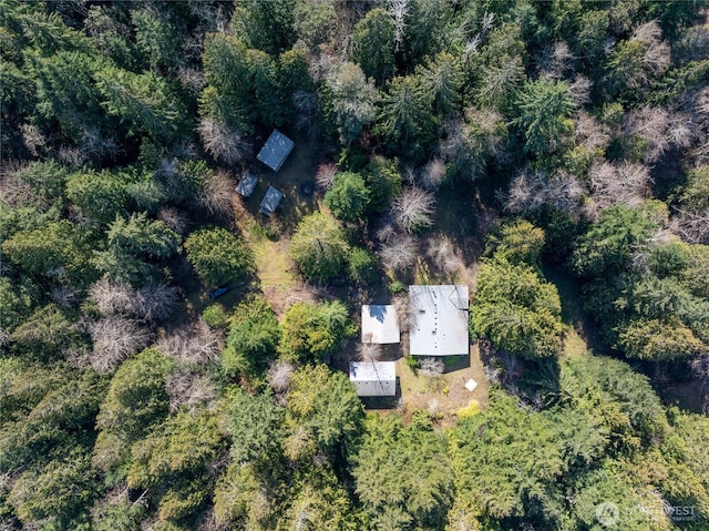 bird's eye view with a view of trees