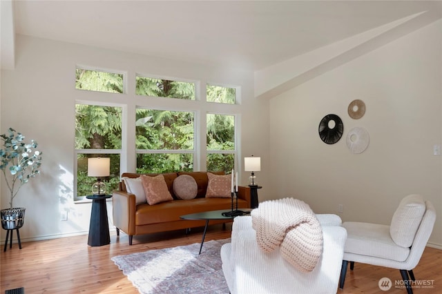 living room featuring wood finished floors