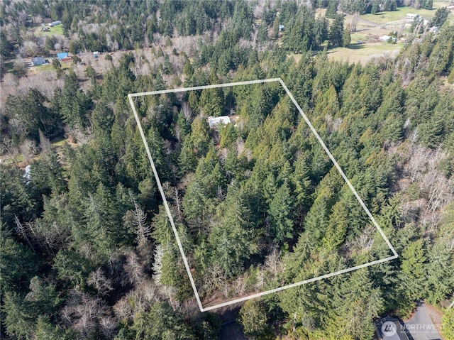 drone / aerial view with a forest view