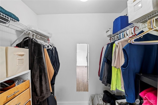 view of spacious closet