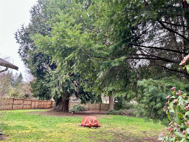 view of yard featuring a fenced backyard