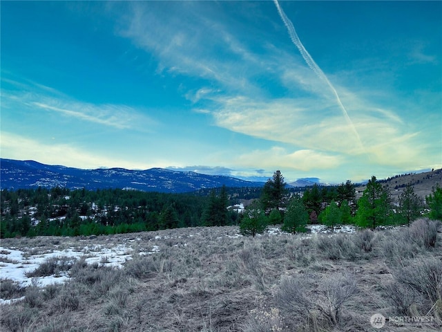 1111TBD White Tail Ln, Tonasket WA, 98855 land for sale