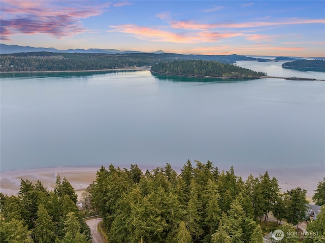 property view of water with a wooded view and a mountain view