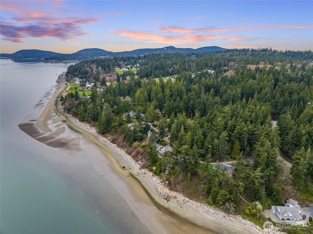 aerial view featuring a view of the beach, a wooded view, and a water and mountain view