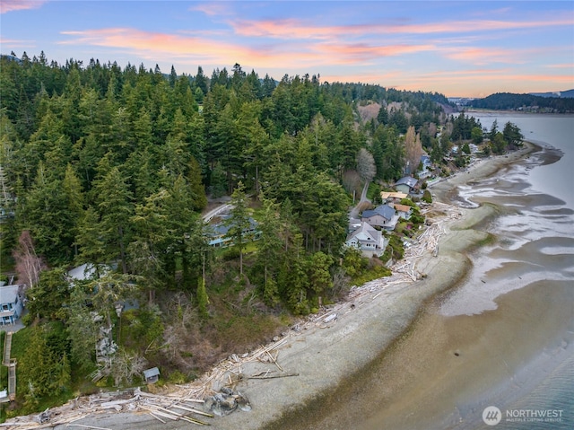 aerial view at dusk featuring a wooded view and a water view