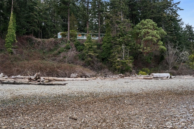 view of yard featuring a forest view