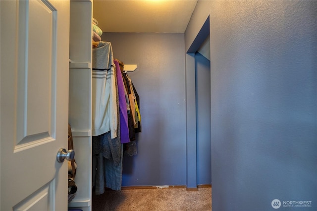 spacious closet with carpet floors