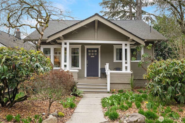 bungalow-style house with roof with shingles and a porch