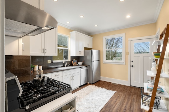 kitchen featuring dark wood-type flooring, a sink, range hood, stainless steel appliances, and crown molding