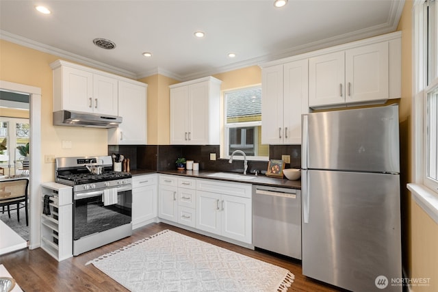 kitchen featuring under cabinet range hood, stainless steel appliances, a wealth of natural light, and a sink