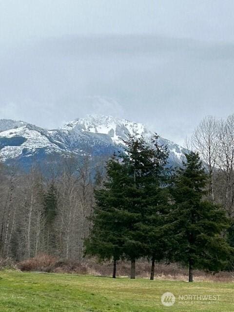 mountain view with a forest view