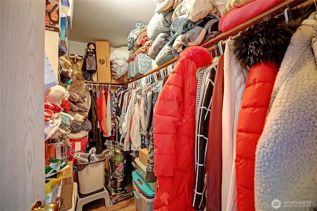 walk in closet featuring wood finished floors