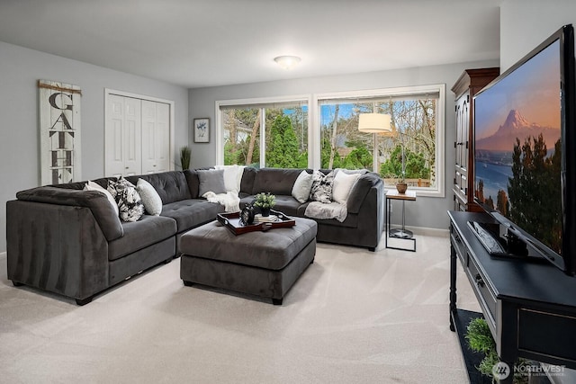 living area featuring baseboards and carpet flooring